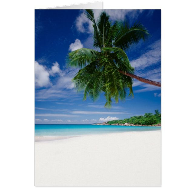Tropischer Strand | Seychellen (Vorne)