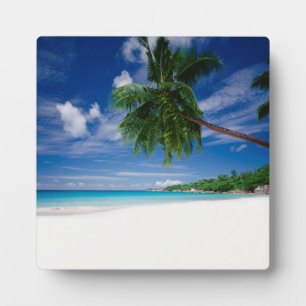 Tropischer Strand   Seychellen Fotoplatte