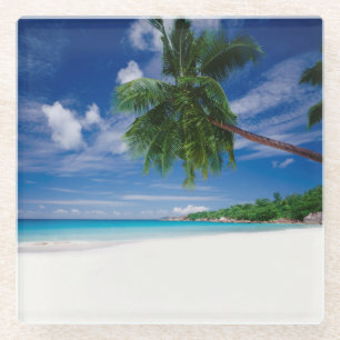 Tropischer Strand   Seychellen Glasuntersetzer