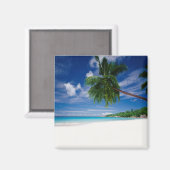 Tropischer Strand | Seychellen Magnet (Vorderseite/Rückseite)