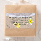 Tropischer Strand von Plumeria (Insitu)