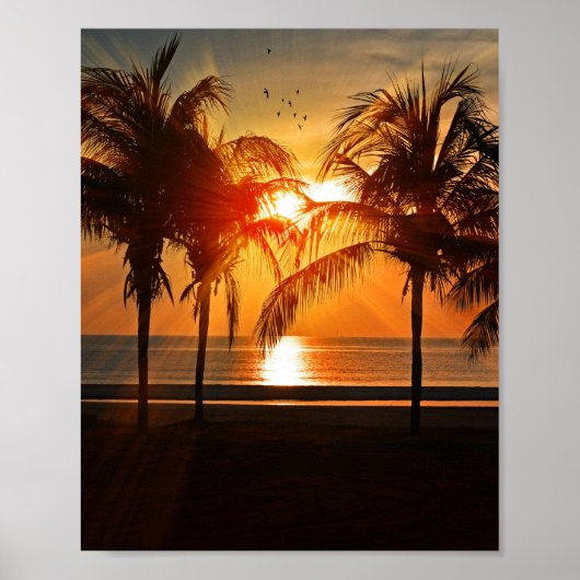 TROPISCHER STRANDGESCHMACK 8X10 POSTER (Vorne)