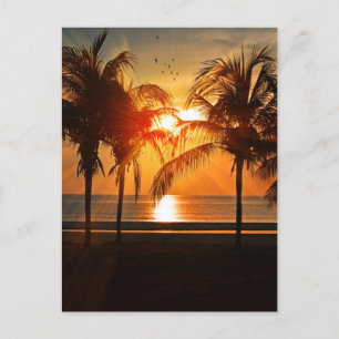 TROPISCHER STRANDSTRAND SONNENPLATTEN POSTKARTE