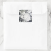 Tropischer Sturm Alma Quadratischer Aufkleber (Tasche)