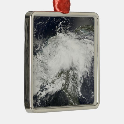 Tropischer Sturm Arthur Silbernes Ornament (Rechts)