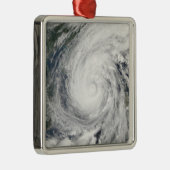 Tropischer Sturm Chanchu Ornament Aus Metall (Rechts)