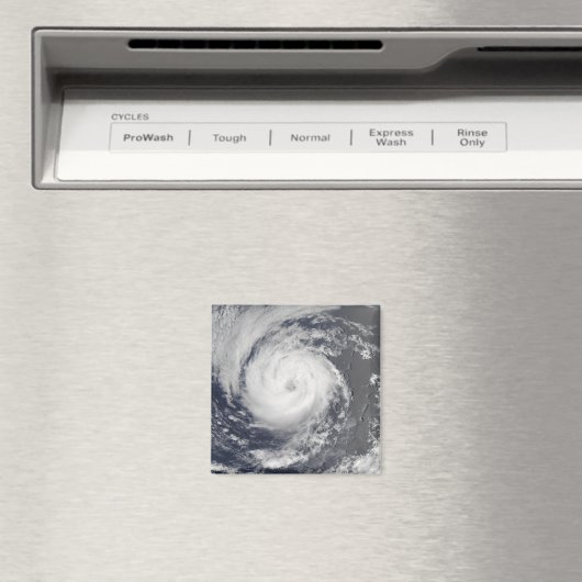 Tropischer Sturm Guillermo Magnet (In Situ (Geschirrspüler))