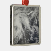 Tropischer Sturm Josephine Ornament Aus Metall (Rechts)