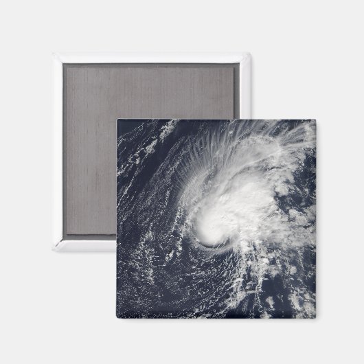 Tropischer Sturm Zeta Magnet (Vorderseite/Rückseite)