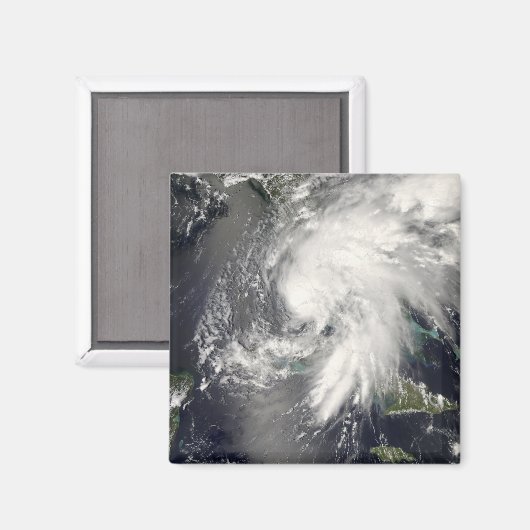 Tropischer Sturmflug 2 Magnet (Vorderseite/Rückseite)