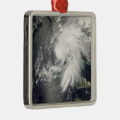 Tropischer Sturmflug 2 Ornament Aus Metall (Rechts)