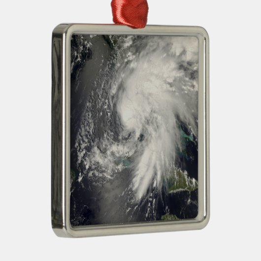 Tropischer Sturmflug 2 Ornament Aus Metall (Rechts)