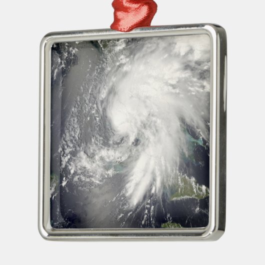 Tropischer Sturmflug 2 Ornament Aus Metall (Links)
