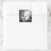 Tropischer Sturmflug 2 Quadratischer Aufkleber (Tasche)