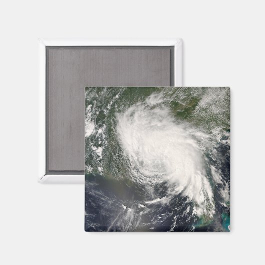 Tropischer Sturmflug 3 Magnet (Vorderseite/Rückseite)