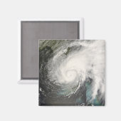 Tropischer Sturmflug Magnet (Vorderseite/Rückseite)