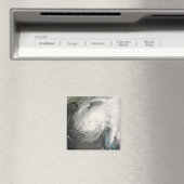 Tropischer Sturmflug Magnet (In Situ (Geschirrspüler))