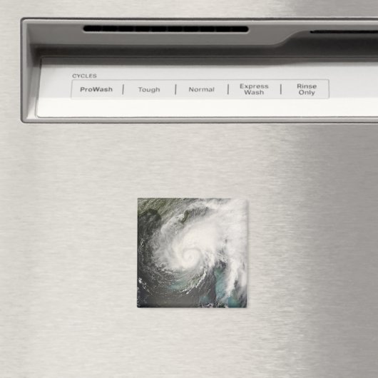 Tropischer Sturmflug Magnet (In Situ (Geschirrspüler))