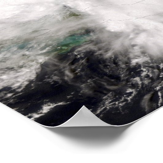 Tropischer Sturmflug Poster (Ecke)