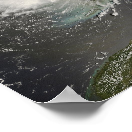 Tropischer Sturmflug Poster (Ecke)