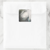 Tropischer Sturmflug Quadratischer Aufkleber (Tasche)