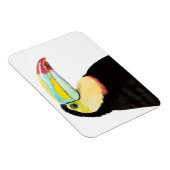 Tropischer Toucan Bird Magnet (Rechte Seite)