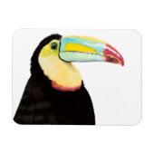 Tropischer Toucan Bird Magnet (Horizontal)