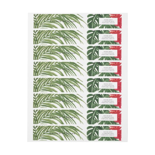 Tropischer Traum (Bogen)