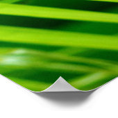 (Tropischer Twirl) Plakatdruck Poster (Ecke)