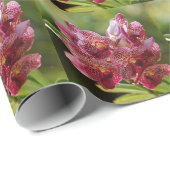 Tropischer Vanda-Orchid-Cluster Geschenkpapier (Rolleneckpunkt)