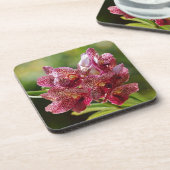 Tropischer Vanda-Orchid-Cluster Getränkeuntersetzer (Linke Seite)