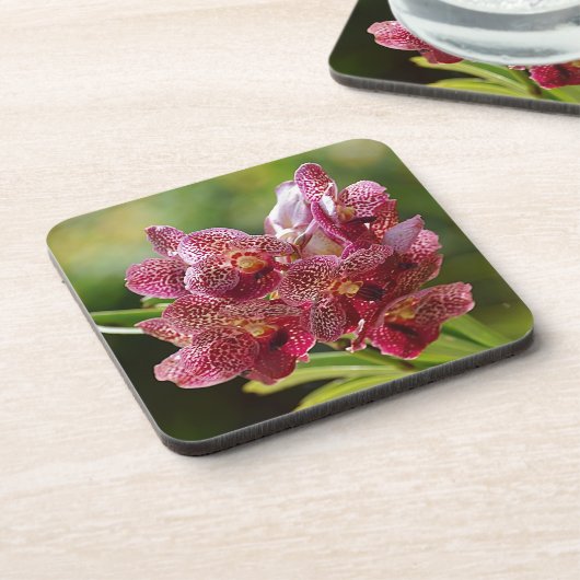 Tropischer Vanda-Orchid-Cluster Getränkeuntersetzer (Linke Seite)