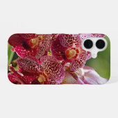 Tropischer Vanda-Orchideen-Cluster iPhone 16 Hülle (Rückseite (Horizontal))