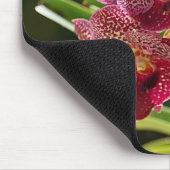 Tropischer Vanda-Orchideen-Cluster Mousepad (Ecke)