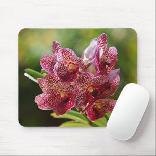 Tropischer Vanda-Orchideen-Cluster Mousepad