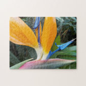 Tropischer Vogel der Paradischen Pflanze Puzzle (Horizontal)