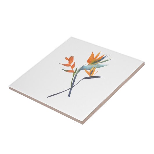 Tropischer Vogel Fliese (Seite)