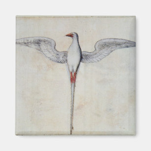 Tropischer Vogel Magnet