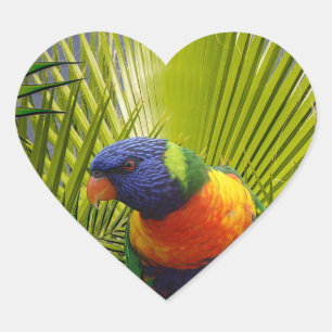 Tropischer Vogelsticker Herz-Aufkleber