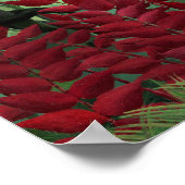 Tropischer Wald mit Affen von Henri Rousseau. Poster (Ecke)