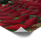 Tropischer Wald mit Affen von Henri Rousseau. Poster (Ecke)