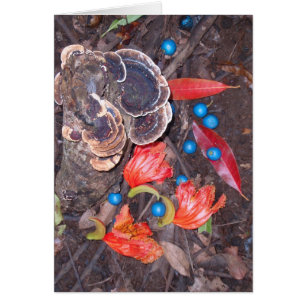 Tropischer Waldboden