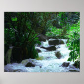 Tropischer Wasserfall Poster (Vorne)