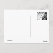 Tropischer Winter Postkarte (Rückseite)