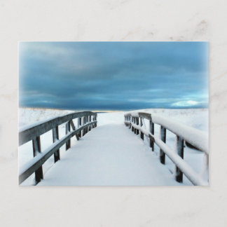 Tropischer Winter Postkarte