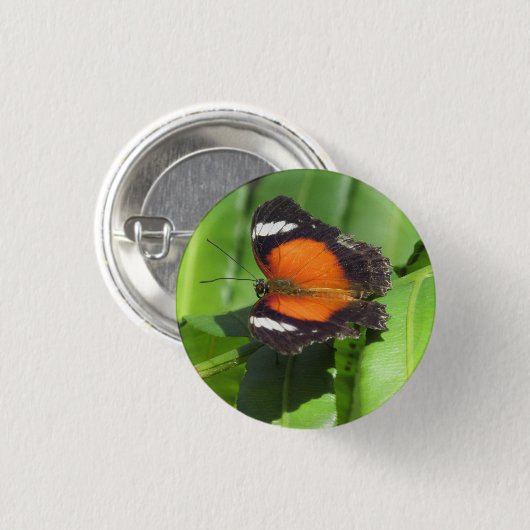 Tropisches Abzeichen Button (Vorne & Hinten)