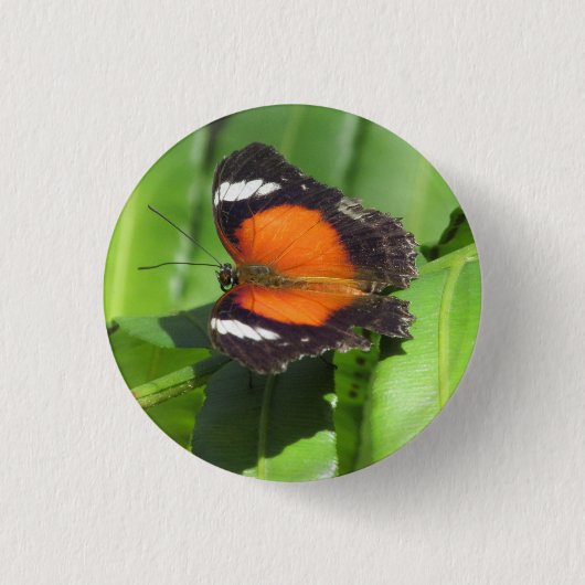 Tropisches Abzeichen Button (Vorderseite)