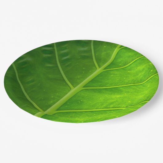 Tropisches Blatt-WegwerfpapierTeller Pappteller (Schrägansicht)