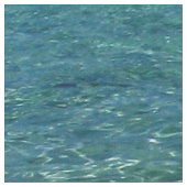 Tropisches blaues Ozean-Wasser 2 Stoff (Nahaufnahme)