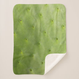 Tropisches botanisches grünes Kaktus-Foto Sherpadecke